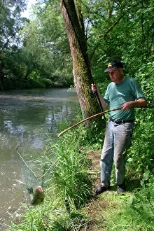 Anglers: Fisherman / Angler - catches European Chub, a freshwater