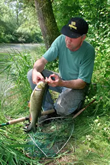 Anglers: Fisherman / Angler - catches European Chub, a freshwater