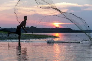 Casting: Fisherman - throwing net. Rio Negro, Amazon