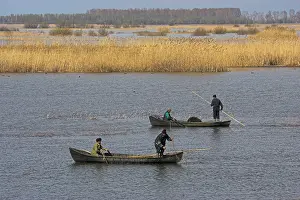 Fishermen: Fishermen bring in their harvest of fish