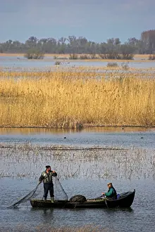 Fishermen: Fishermen bring in their harvest of fish
