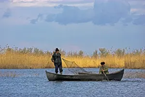Fishermen: Fishermen bring in their harvest of fish