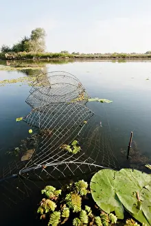 Fisherman: Fishermen in the Danube Delta Romania. Fish