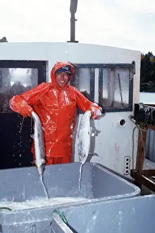 Fishery: FISHERY - Harvesting Salmon from pens