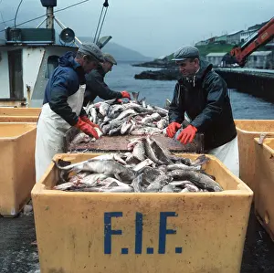 Anglers: FISHING