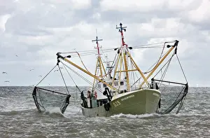 Trawler: Fishing boat fishing with net