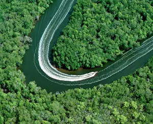 Kennedy: Fishing boat on mangrove-lined inlet, Kennedy Inlet