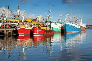 Trawler: Fishing boats