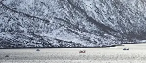 Svolvaer: Fishing boats in the fjord, Norway