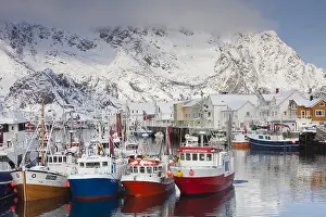 Harbours: Fishing boats in the habour of Henningsvaer - Lofoten