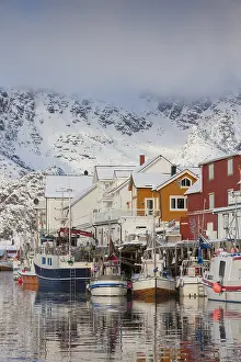 Harbours: Fishing boats in the habour of Henningsvaer - Lofoten