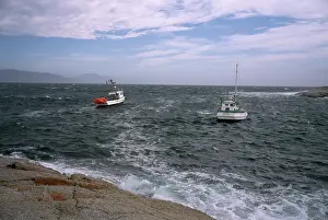 Gulch: Fishing boats moored in the Gulch, Bicheno, East