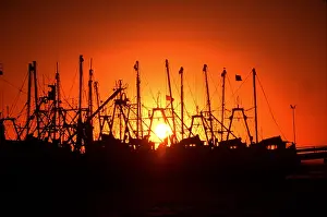 Silhouettes: Fishing Boats - Shrimpboats at sunrise