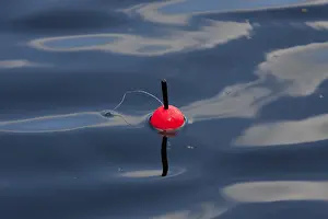 Fishery: Fishing Float - summer - Sweden