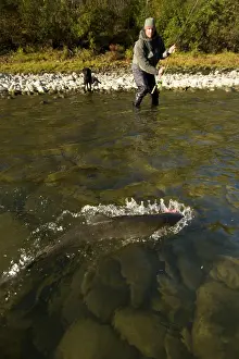 Fishermen: Fishing guide Will Blanchard fly fishing