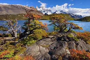 Fitz: Fitz Roy Massif - mountain scenery including Cerro