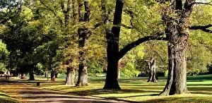 Melbourne: Fitzroy Gardens Melbourne