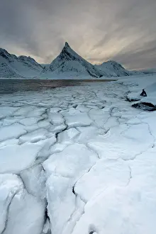 Floes: Fjord with ice floes in winter, back mountain, Fredvang