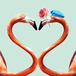 Creating: Flamingo, a pair of Flamingos creating a heart
