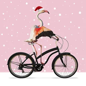 040718: Flamingo, riding a bike wearing a Christmas hat