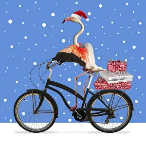 040718: Flamingo, wearing a Christmas hat riding a bike