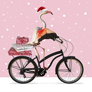 040718: Flamingo, wearing a Christmas hat riding a bike