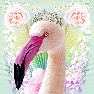 Tiara: Flamingo wearing tiara with Roses and flowers