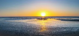 Salinas: Flamingos, Salinas, Large saltwater lagoons in Walvis