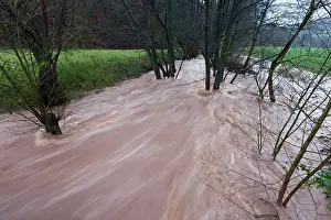 Flash: Flash flood - in hill land stream after torrential