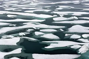 Keren: Floating ice in Chukchi Sea, Russian Far East