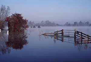 Tranquillity: FLOOD - WELNEY WASH