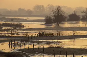 Floods: Flooded forelands - river IJssel at sunset during winter