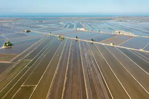 Delta: Flooded rice fields in May. Aerial view. Drone shot