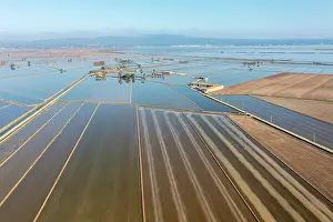 Tracks: Flooded rice fields in May. The tracks are caused