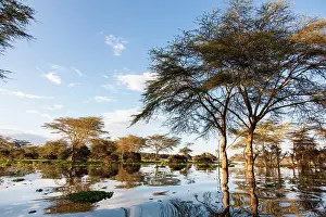 Crescent: Flooded shoreline of Lake Naivasha and the
