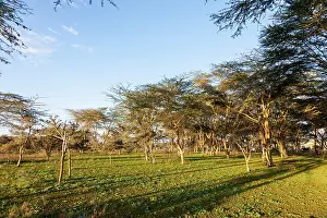 Flooding: Flooded shoreline of Lake Naivasha and the