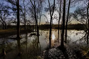 Floods: Flooded Waters