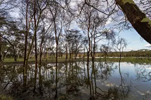 Floods: Flooded Waters