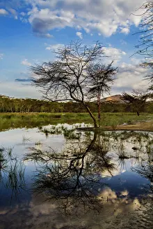 Floods: Flooded Waters