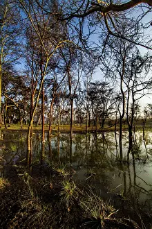 Floods: Flooded Waters