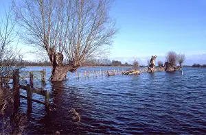 Flood: FLOODING