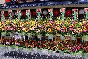 Shops: Floral displays in the street, Asakusa, Tokyo, Japan