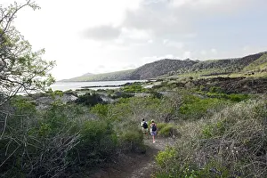 Floreana: Floreana Island