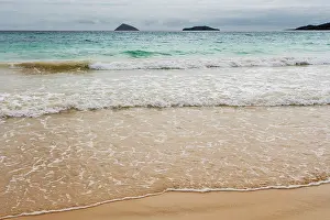Galapagos: Floreana Island, Galapagos islands, Ecuador