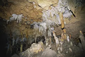 Dripstone: Florida Caverns State Park
