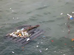Flotsam: Flotsam on the River Thames