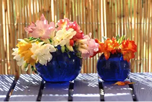Frederic Rolland: FLOWER ARRANGEMENT - in blue vases