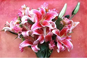 Frederic Rolland: FLOWER ARRANGEMENT - pink and white