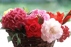 Frederic Rolland: FLOWER ARRANGEMENT - red, pink and white