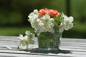 Vase: Flower bouquet in a vase